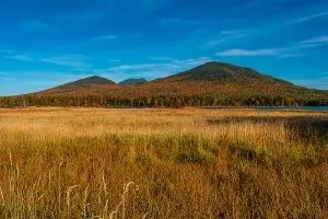 Mountains in Western Maine with autumn foliage, seen across a golden field of grasses beneath a bright blue sky.