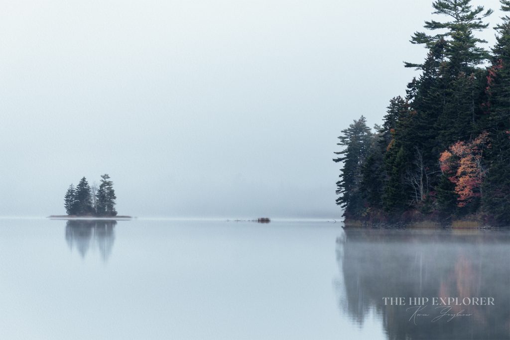 A fog-covered pond in Northport, Maine, with a small island of evergreen trees reflected in still water.