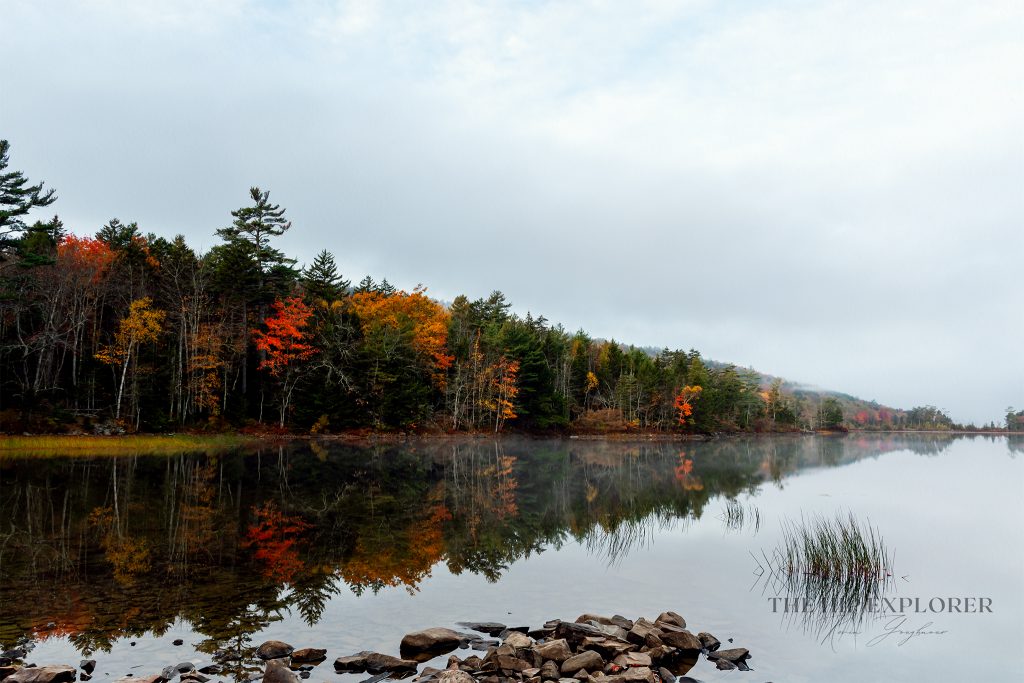 Trees with fall foliage reflecting on calm water at Knight Pond in Northport, Maine, shortly after sunrise.
