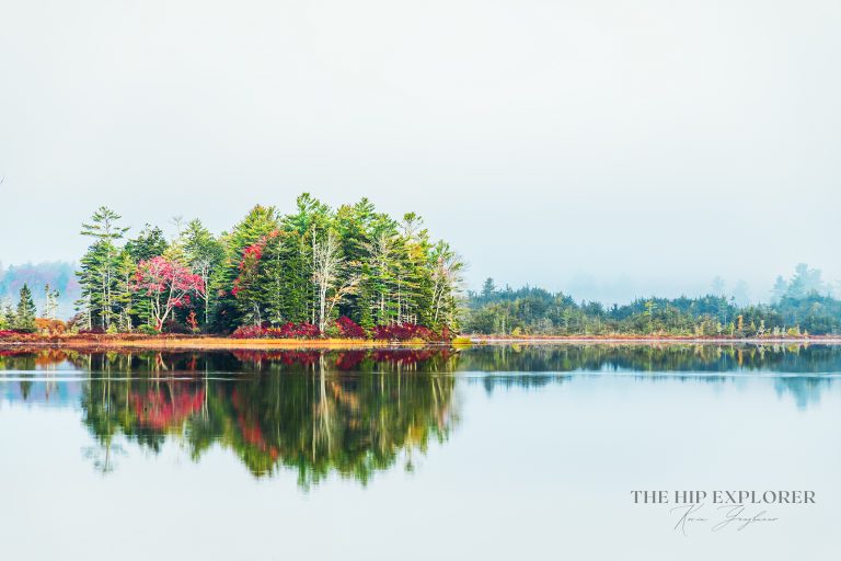 A foggy morning in Northport, Maine, with autumn trees reflected perfectly in still water.