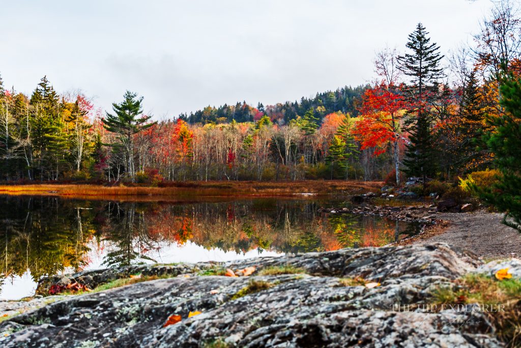 Autumn trees reflect over calm water along a rocky shoreline in Northport, Maine.