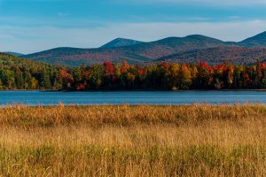 Autumn foliage and tall golden grasses along Flagstaff Lake with Sugarloaf Mountain in the background under a clear blue sky.