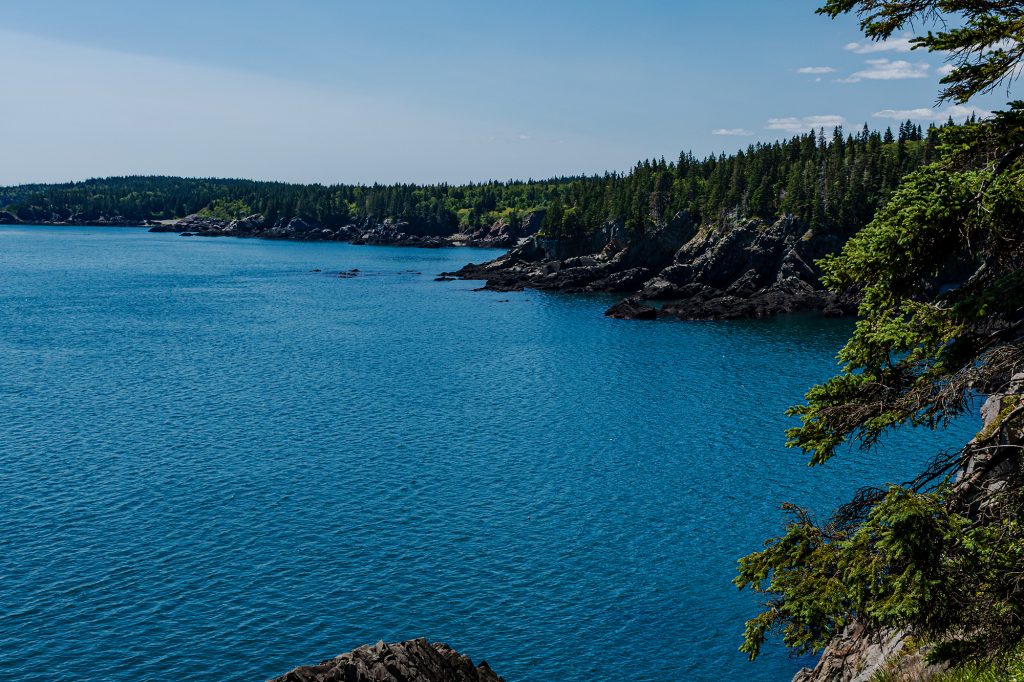 Rocky cliffs and evergreen forest along the blue waters of the Cutler Coast on a clear summer day in Downeast Maine.