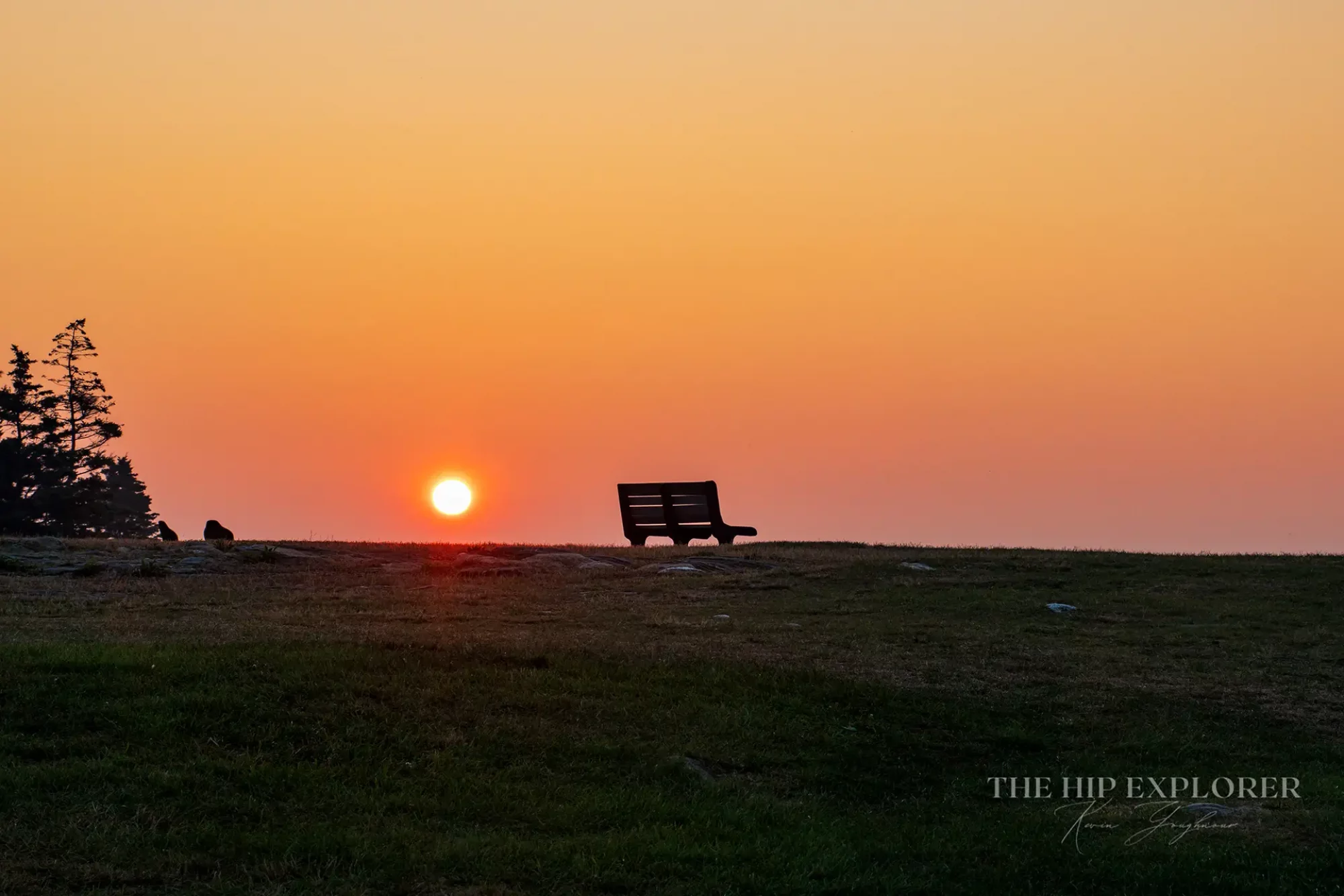 _DSC4067_20250726_838