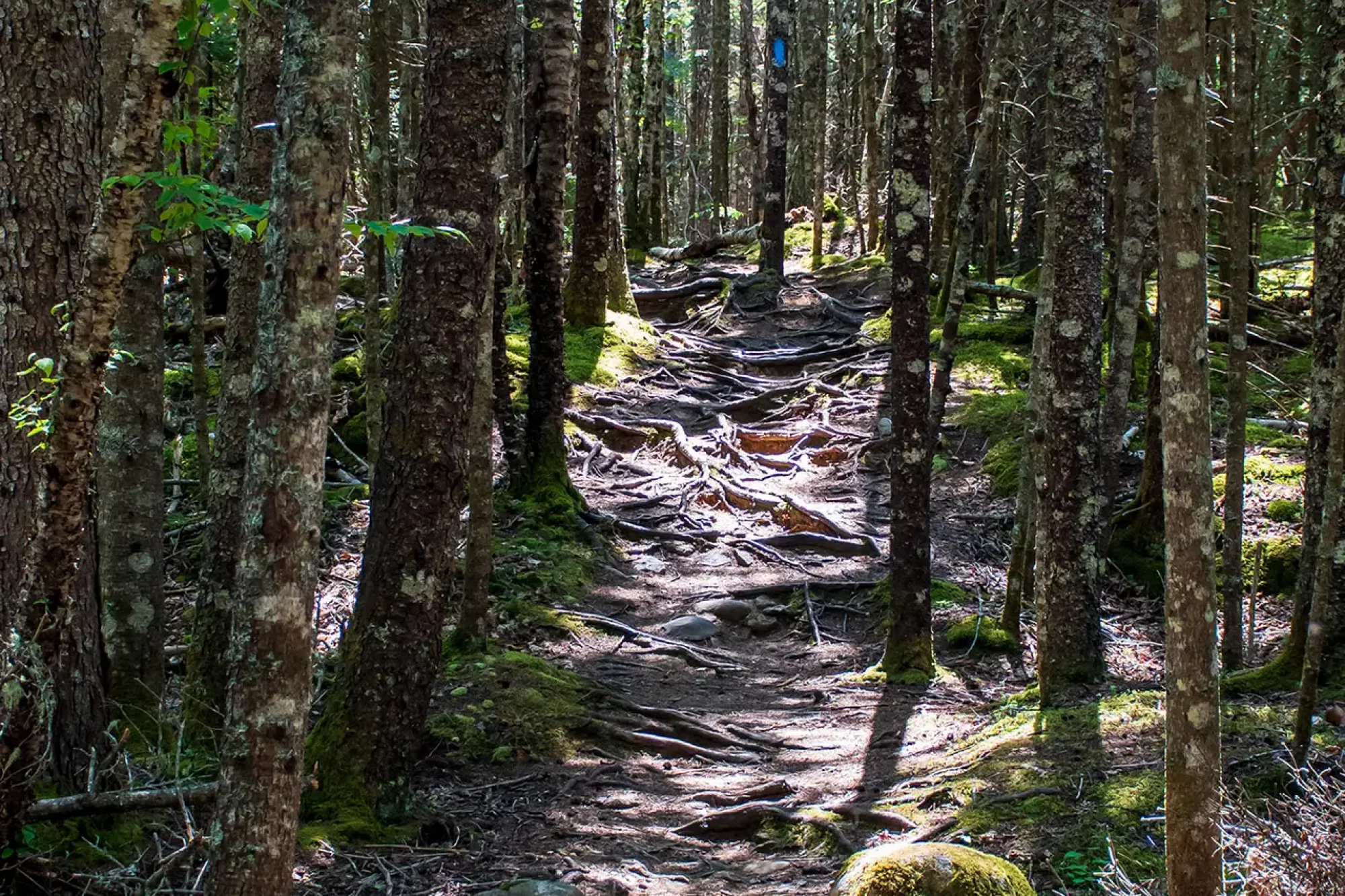 _DSC4148_20250802_917