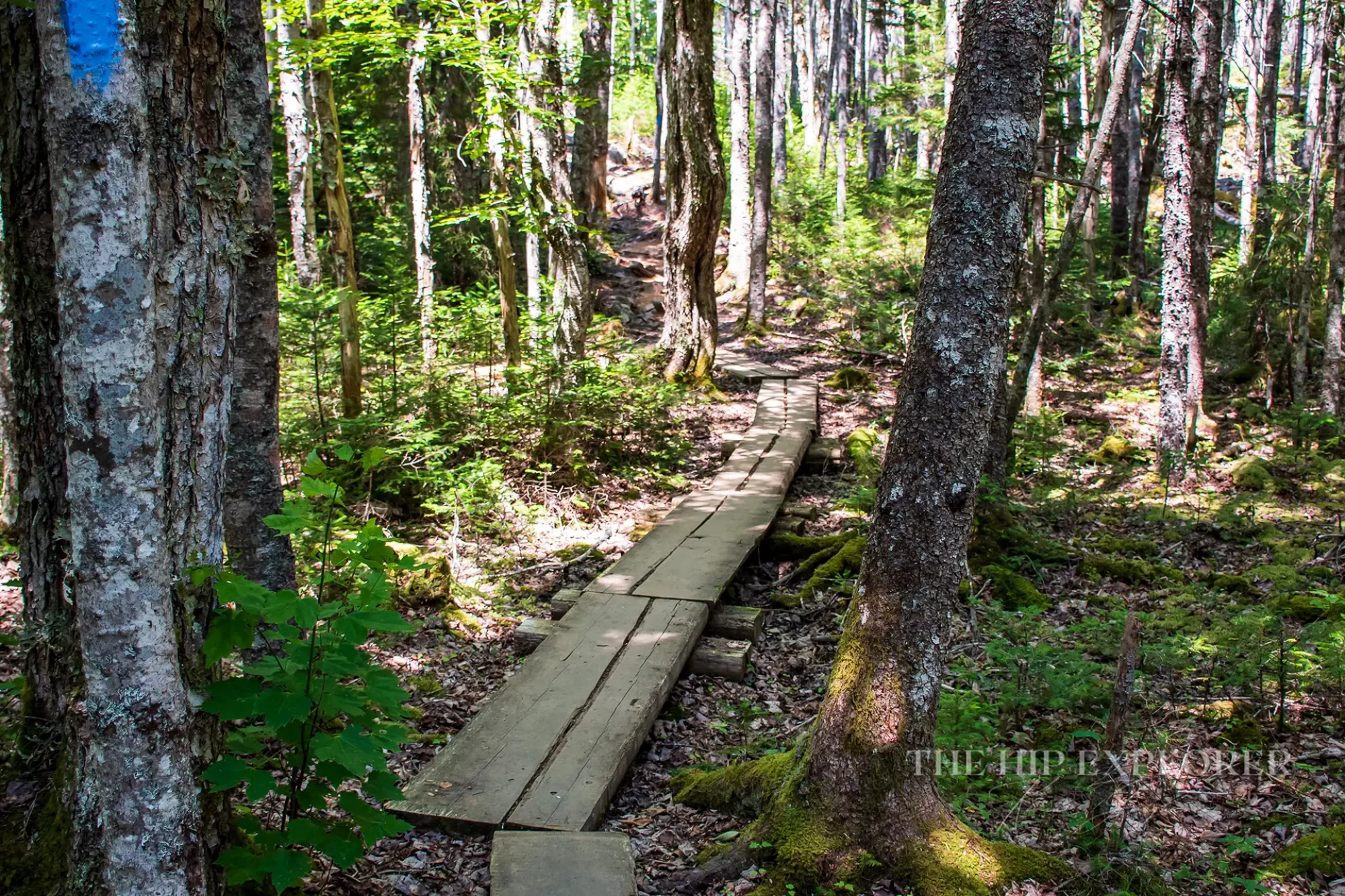 _DSC4153_20250802_922