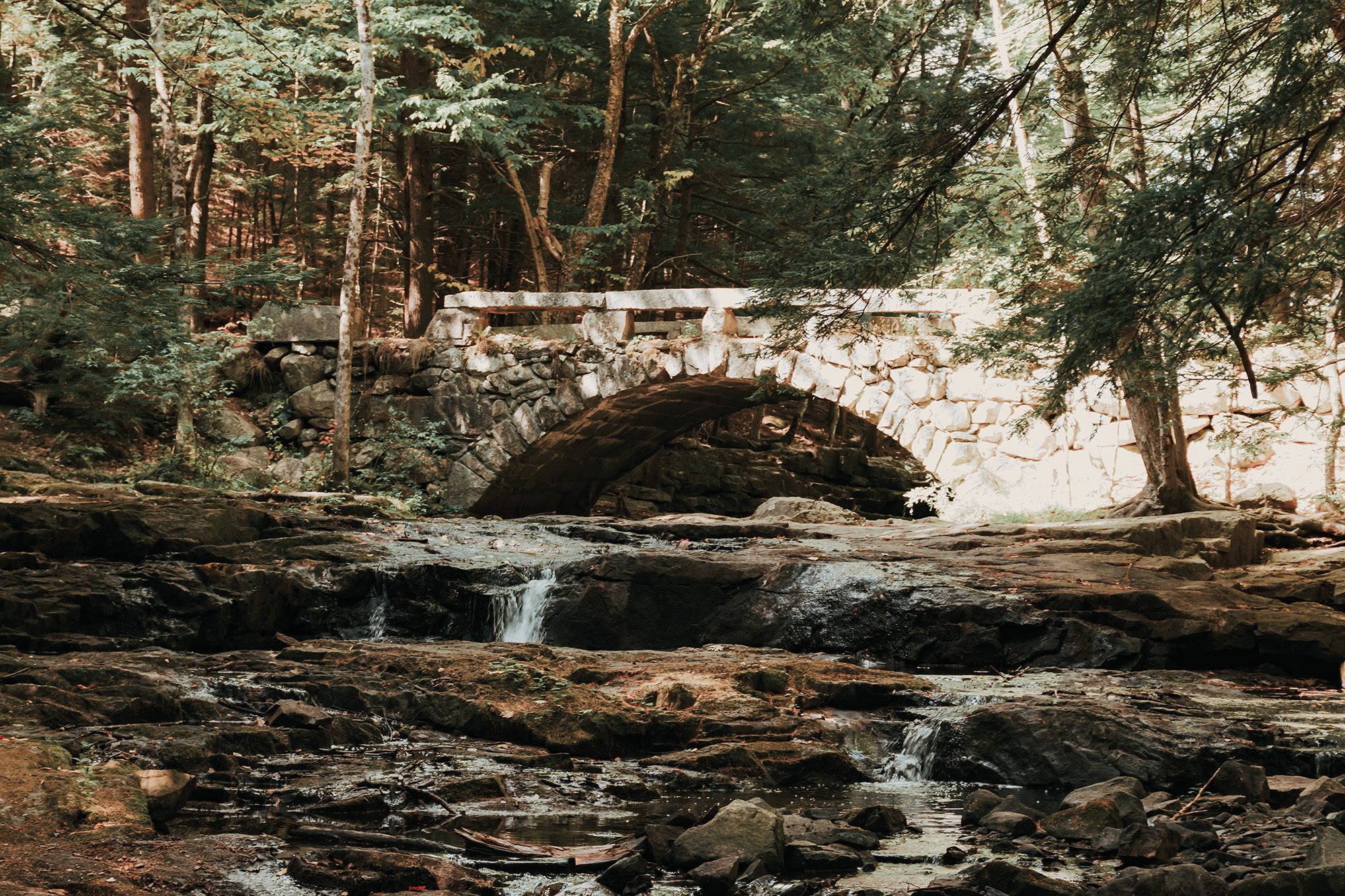 _DSC4784_20250913_1541