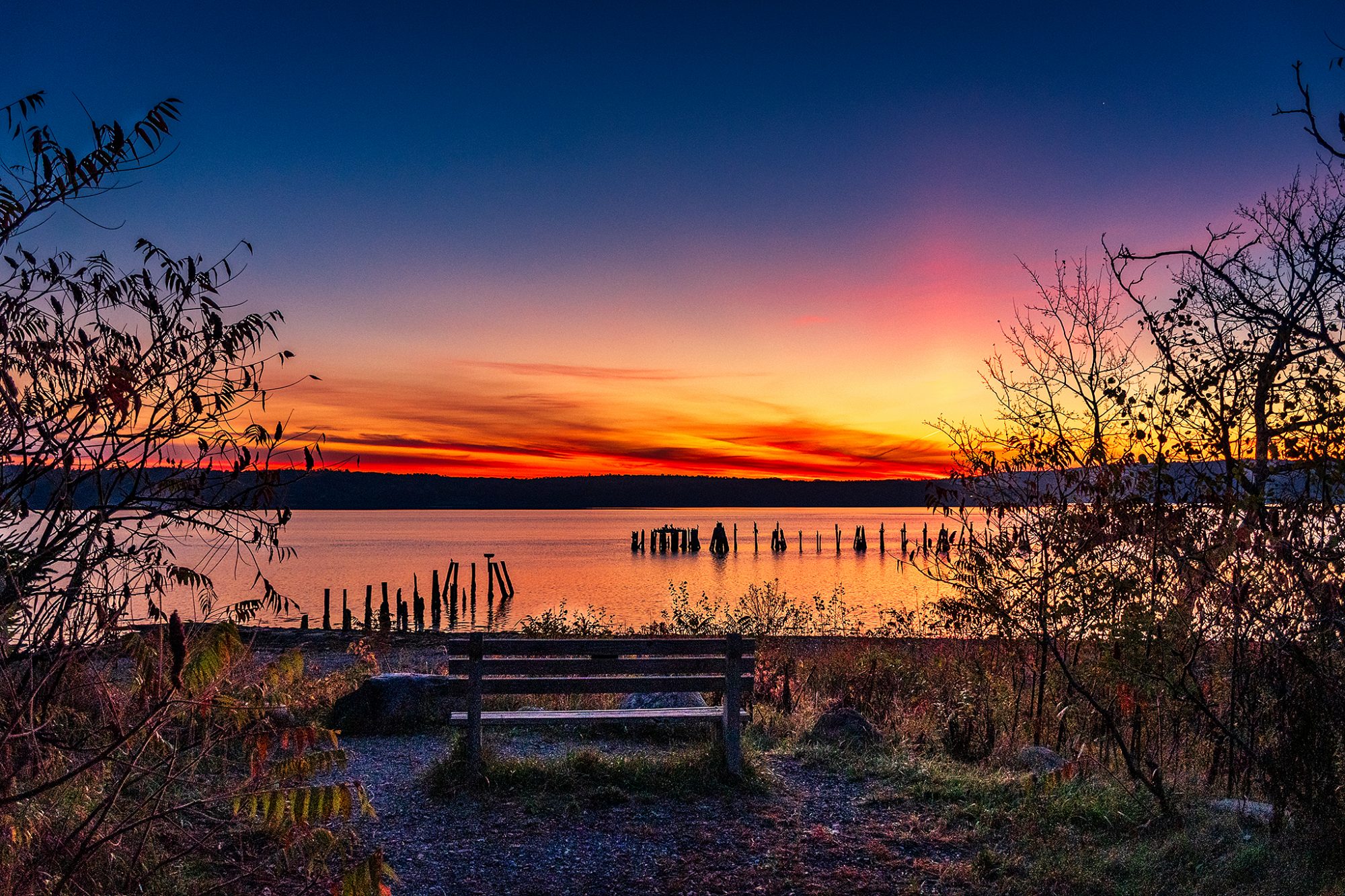 Empty bench overlooking sunrise at Sandy Point Beach in Stockton Springs, Maine, framed by autumn brush.